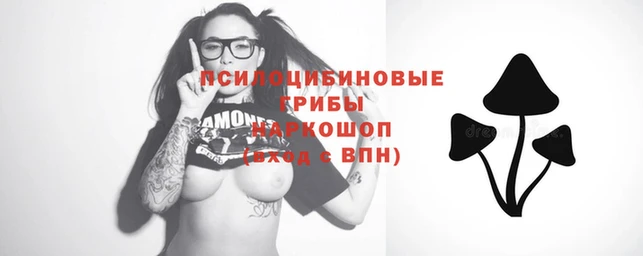 mdma Вязьма