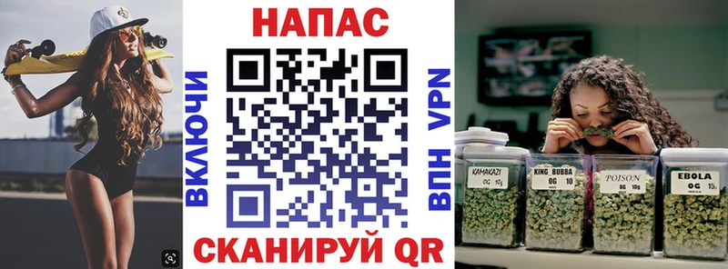 где можно купить наркотик  Пересвет  Конопля VHQ 